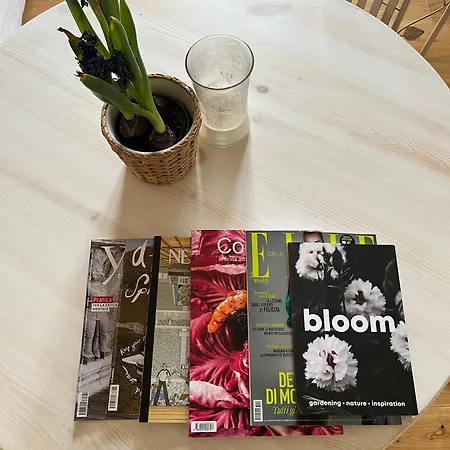 Bloom As Are Bolonia