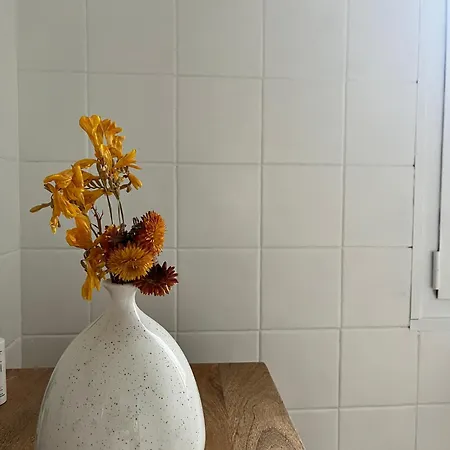 Bloom As Are Nocleg ze śniadaniem